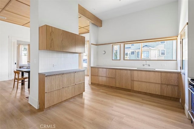 kitchen with a sink, light wood-style floors, light countertops, decorative backsplash, and modern cabinets