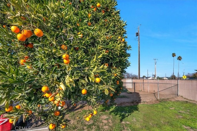 4185 E Turner Ave, Fresno, CA 93702 - view of yard featuring fence