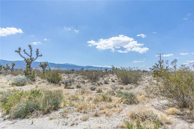 0 Bear Valley Rd, Pinon Hills, CA 92372 - photo 14