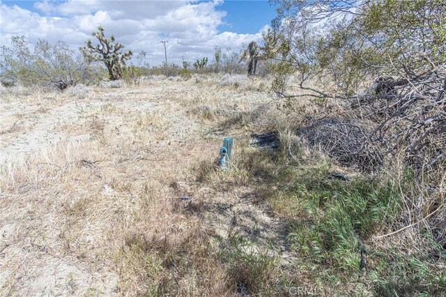 0 Bear Valley Rd, Pinon Hills, CA 92372 - photo 8