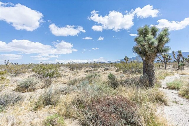 0 Bear Valley Rd, Pinon Hills, CA 92372 - photo 13