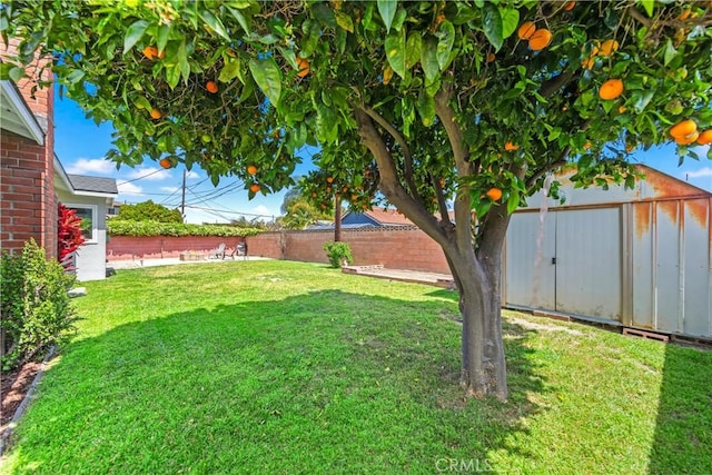 6222 Shawnee Rd, Westminster, CA 92683 - view of yard featuring a storage shed and an outdoor structure