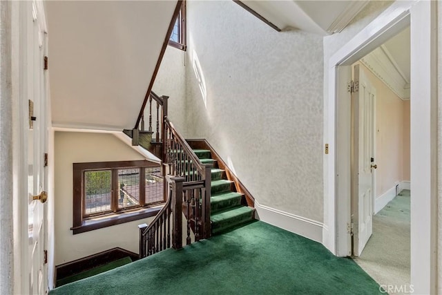 staircase featuring baseboards and carpet