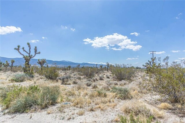 1323 Bear Valley Rd, Pinon Hills, CA 92372