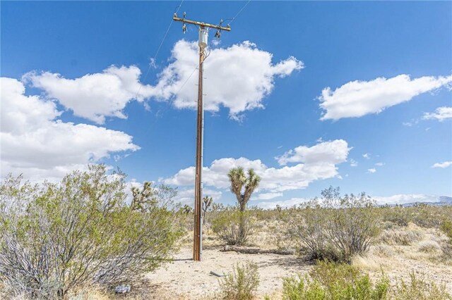1323 Bear Valley Rd, Pinon Hills, CA 92372
