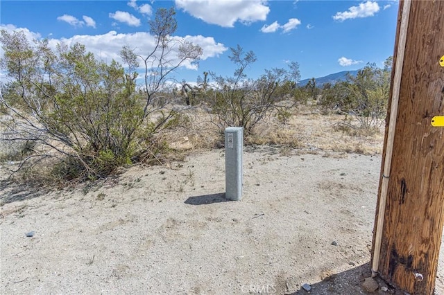 1323 Bear Valley Rd, Pinon Hills, CA 92372