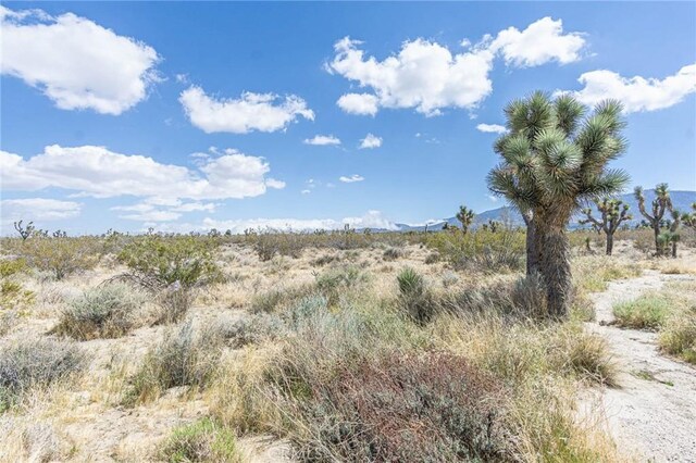 1323 Bear Valley Rd, Pinon Hills, CA 92372