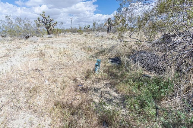 1323 Bear Valley Rd, Pinon Hills, CA 92372