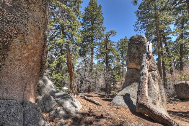 76 Metcalf Crk, Big Bear Lake, CA 92315 - photo 32