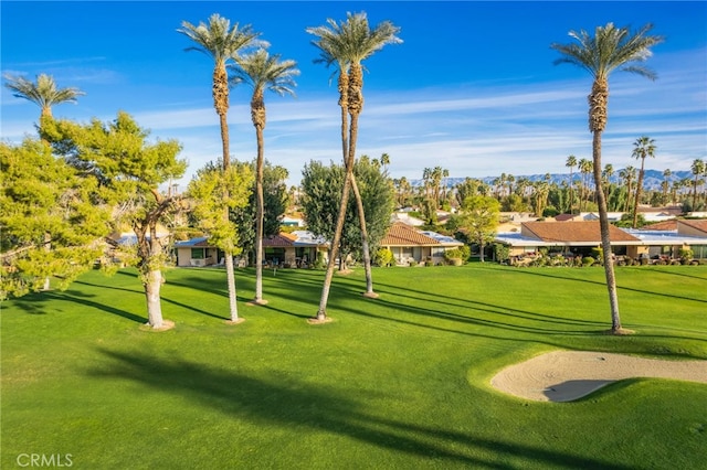 60 La Ronda Dr, Rancho Mirage, CA 92270 - view of home's community featuring view of golf course, a yard, and a residential view
