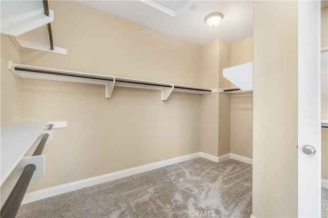 44557 Howell Mountain St, Temecula, CA 92592 - walk in closet with carpet flooring