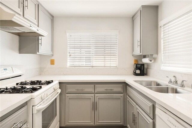 kitchen with a sink, gray cabinets, under cabinet range hood, and white appliances