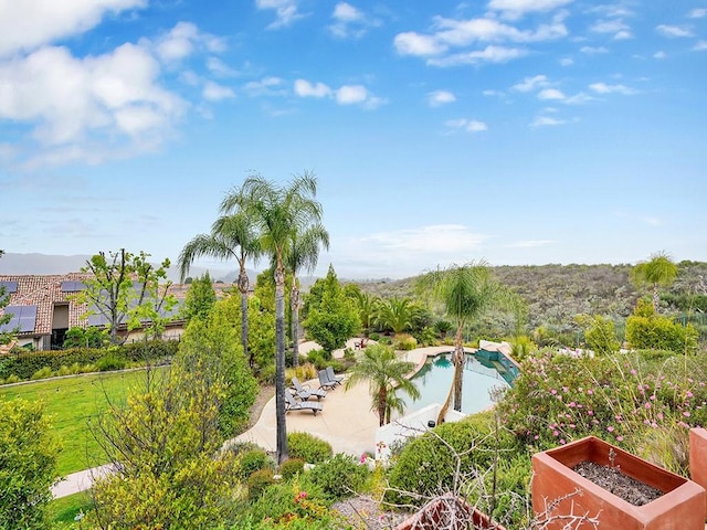 508 Lantern Crest Dr, Redlands, CA 92373 - outdoor pool featuring a patio and a garden