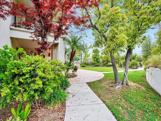 508 Lantern Crest Dr, Redlands, CA 92373 - view of yard