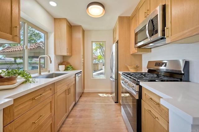 kitchen featuring a healthy amount of sunlight, a sink, baseboards, light wood finished floors, and stainless steel appliances