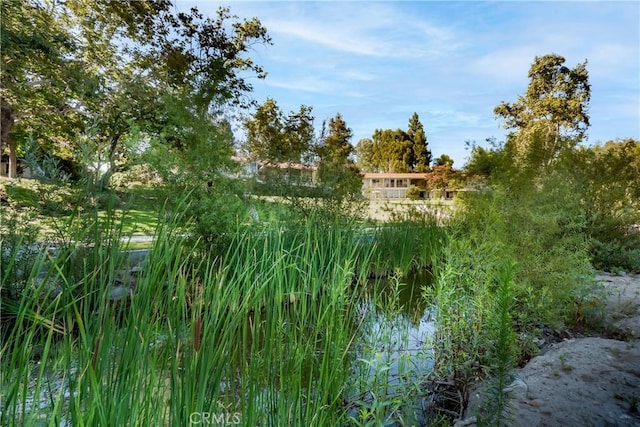 76 Calle Aragon Unit Q, Laguna Woods, CA 92637 - exterior space