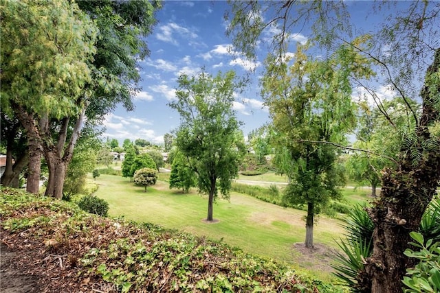 76 Calle Aragon Unit Q, Laguna Woods, CA 92637 - view of grassy yard