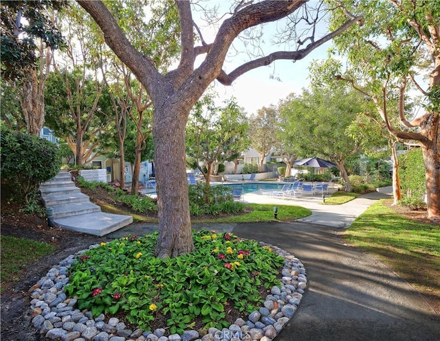 1150 W Capitol Unit 32, San Pedro, CA 90732 - view of community with a swimming pool
