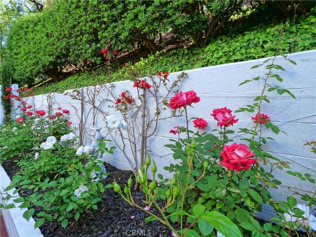1150 W Capitol Unit 32, San Pedro, CA 90732 - view of exterior details