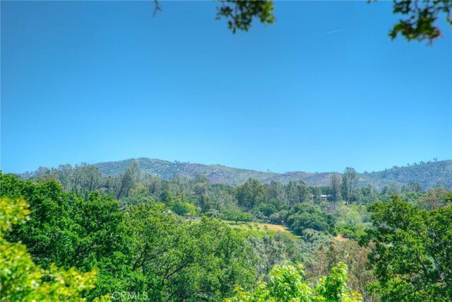 40 Oakview Ct, Oroville, CA 95966 - photo 40