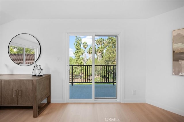 entryway with a wealth of natural light and wood finished floors