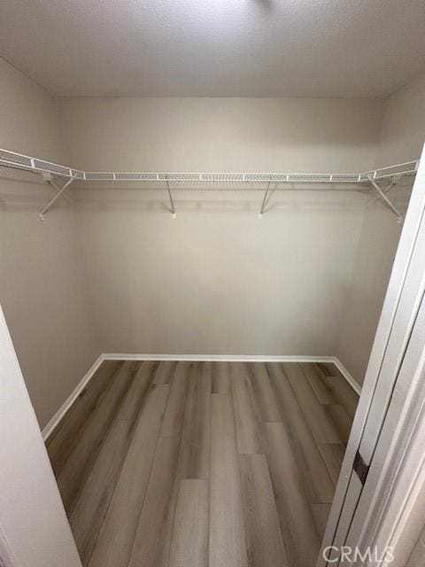 spacious closet featuring wood finished floors