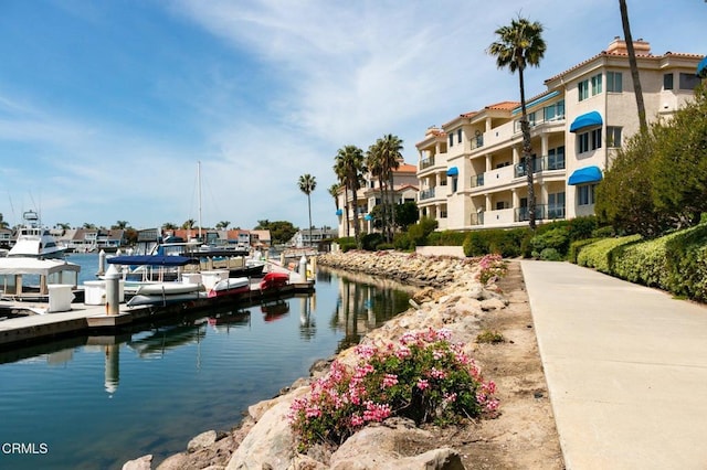 dock area with a water view