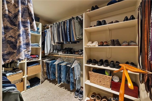view of spacious closet