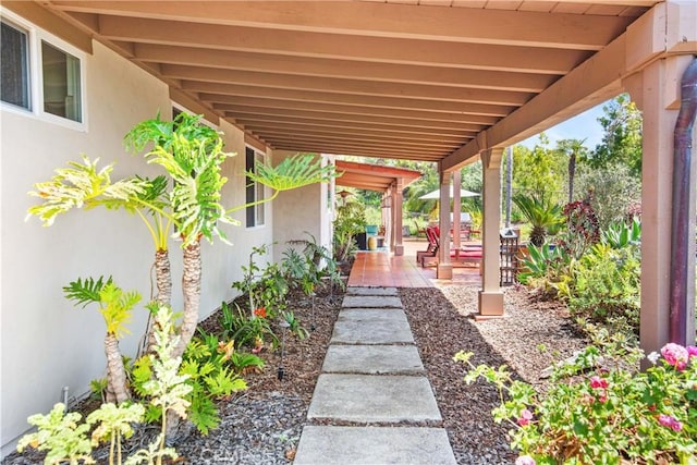 1925 Katie Ct, Fallbrook, CA 92028 - view of patio