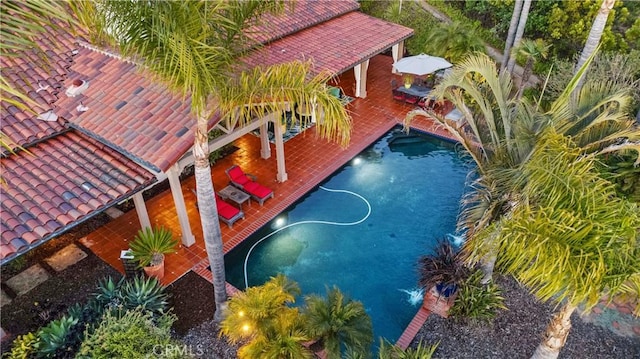 view of swimming pool