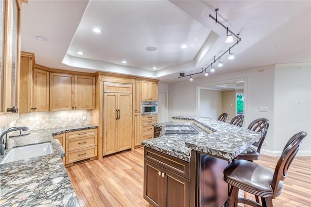 kitchen featuring a kitchen bar, appliances with stainless steel finishes, light wood-type flooring, a sink, and a raised ceiling