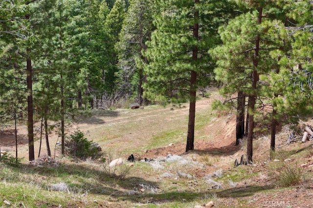 71707174 Yosemite Park Way, Yosemite, CA 95389
