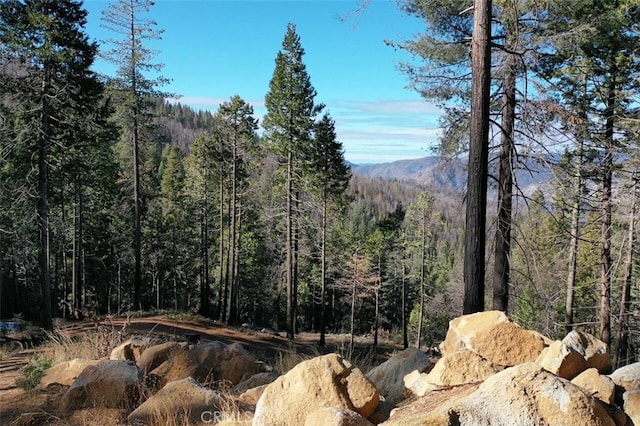 71707174 Yosemite Park Way, Yosemite, CA 95389