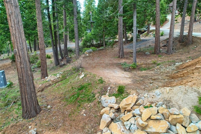 71707174 Yosemite Park Way, Yosemite, CA 95389