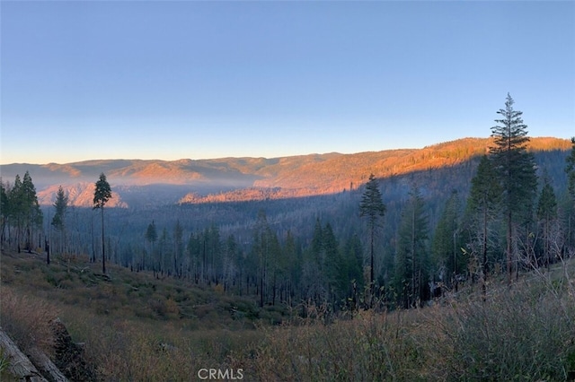 71707174 Yosemite Park Way, Yosemite, CA 95389