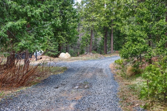 71707174 Yosemite Park Way, Yosemite, CA 95389