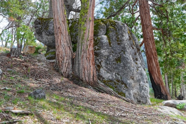 71707174 Yosemite Park Way, Yosemite, CA 95389