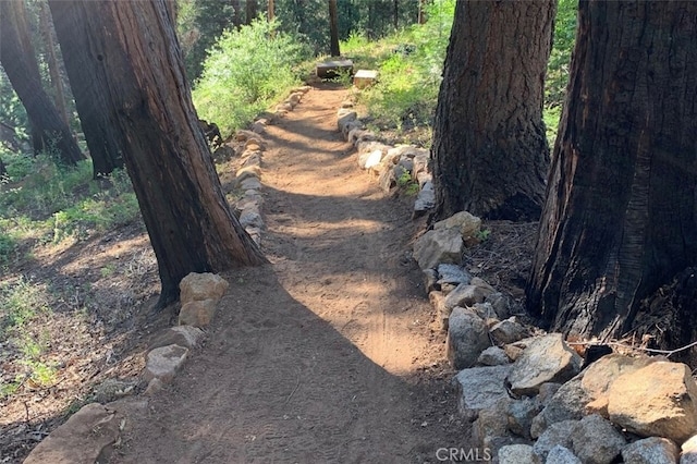 71707174 Yosemite Park Way, Yosemite, CA 95389