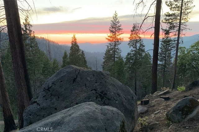 71707174 Yosemite Park Way, Yosemite, CA 95389