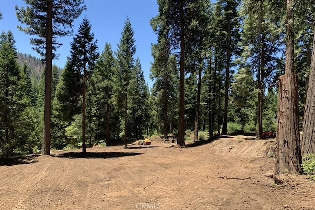 71707174 Yosemite Park Way, Yosemite, CA 95389
