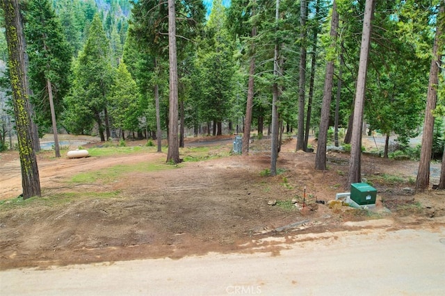 71707174 Yosemite Park Way, Yosemite, CA 95389