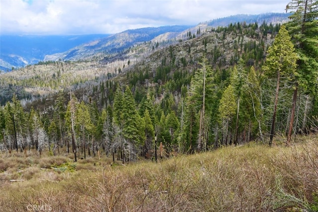71707174 Yosemite Park Way, Yosemite, CA 95389