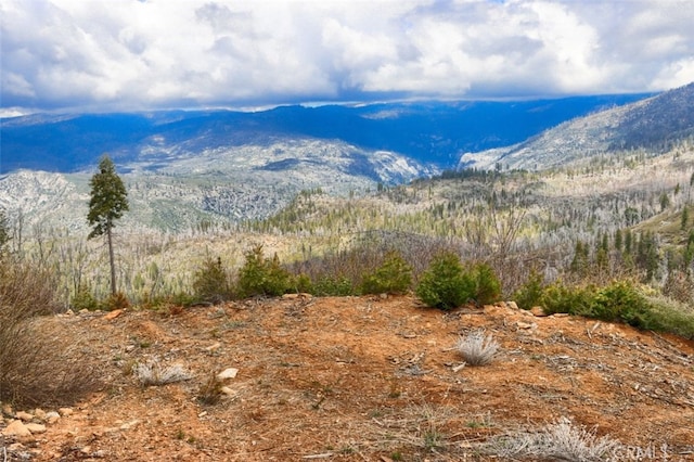 71707174 Yosemite Park Way, Yosemite, CA 95389