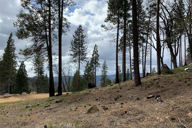 71707174 Yosemite Park Way, Yosemite, CA 95389