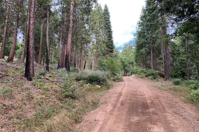 71707174 Yosemite Park Way, Yosemite, CA 95389
