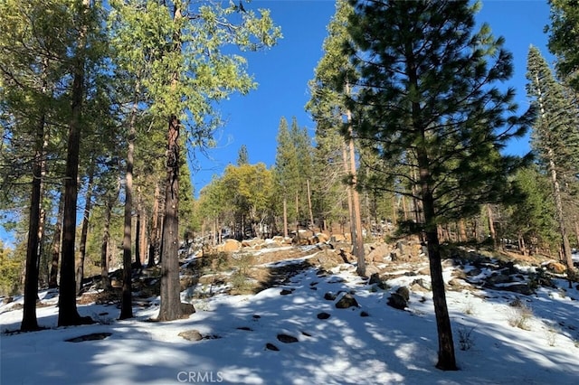 71707174 Yosemite Park Way, Yosemite, CA 95389