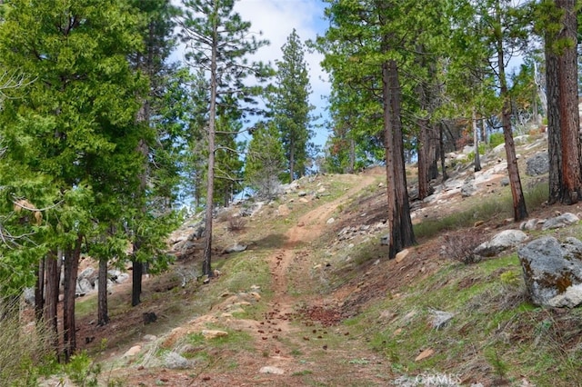 71707174 Yosemite Park Way, Yosemite, CA 95389