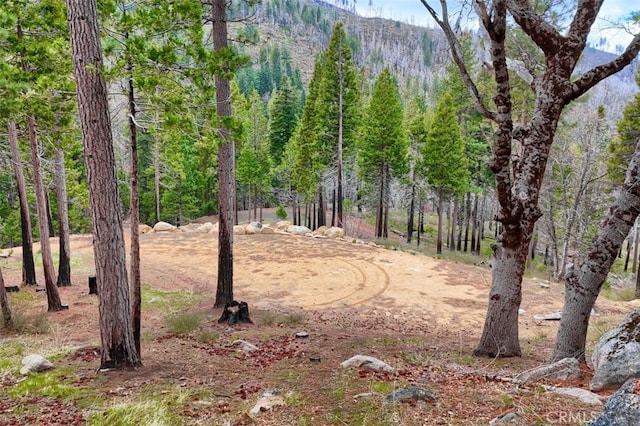 71707174 Yosemite Park Way, Yosemite, CA 95389