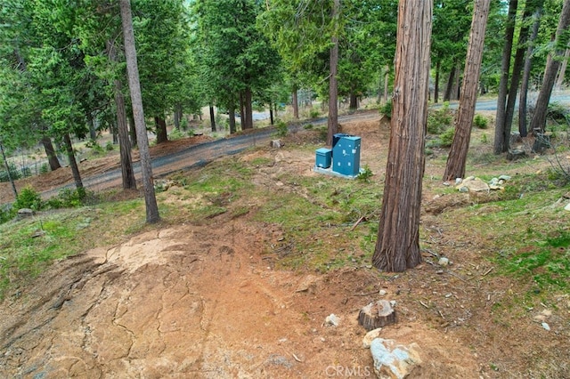 71707174 Yosemite Park Way, Yosemite, CA 95389