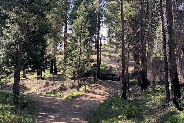71707174 Yosemite Park Way, Yosemite, CA 95389